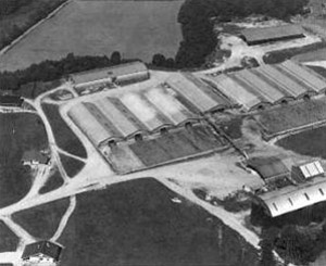Ferme de boulieu Elevage et Patrimoine : La ferme de boulieu