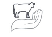 Elevage et Patrimoine, qualité sanitaire et bien-être animal Elevage et Patrimoine, qualité sanitaire des bovins et bien-être animal