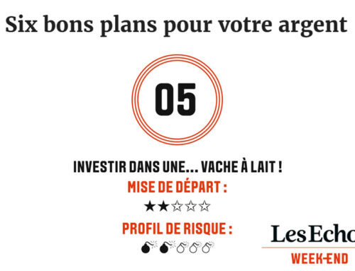 Les Echos week-end : Six bons plans pour votre argent