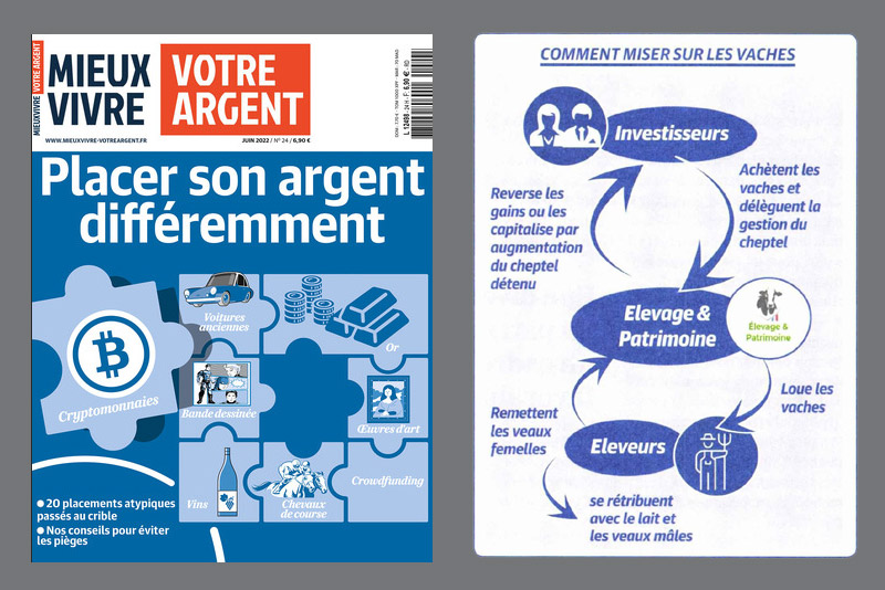 202206-Mieux-vivre-votre-argent Elevage et Patrimoine : cheptel, un retour aux sources pour votre capital