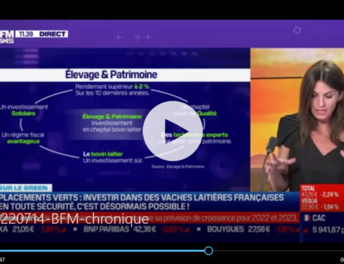 Placements verts : investir dans des bovins français en toute sécurité, c’est désormais possible.
