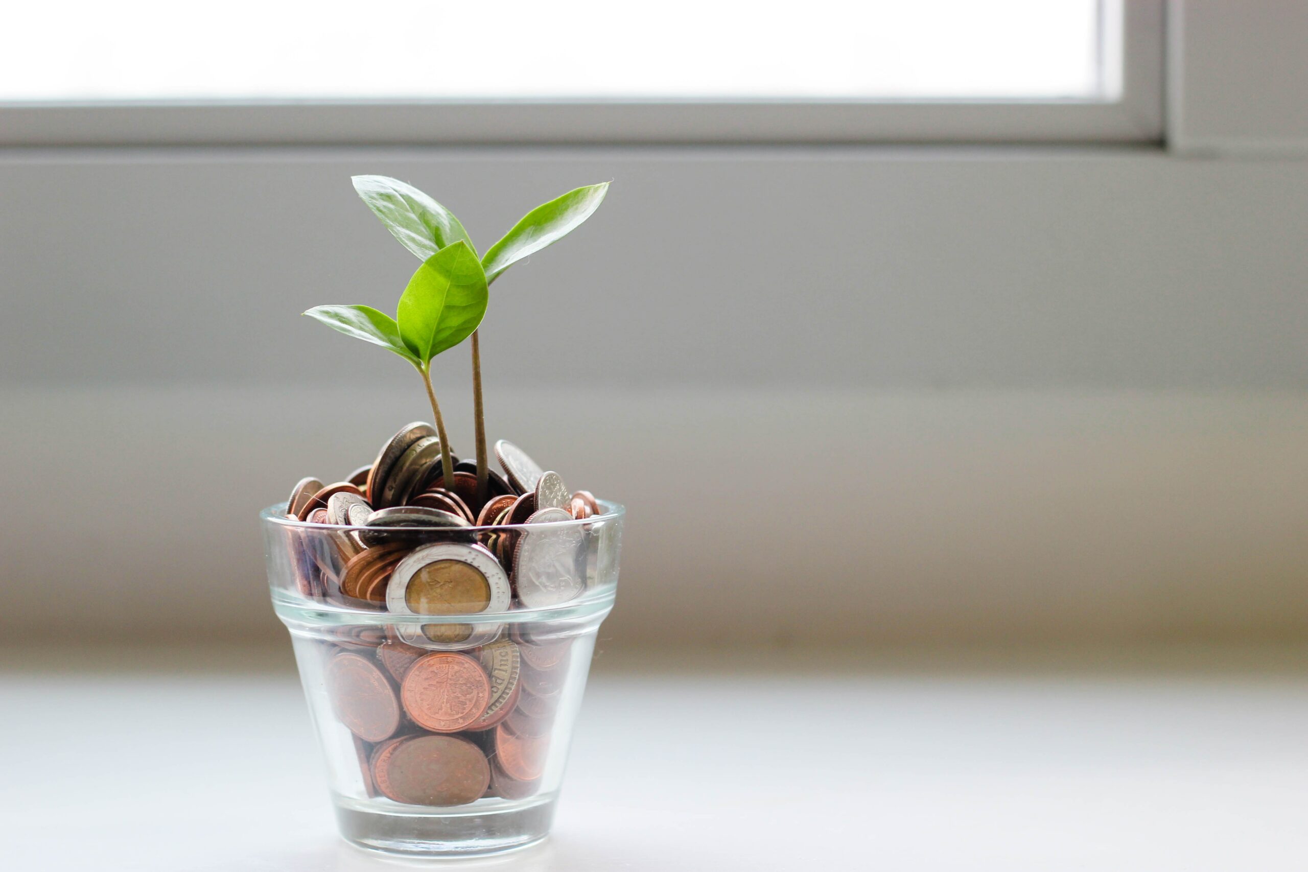 Un pot d'argent avec une feuille verte qui pousse sur le tas de pièce