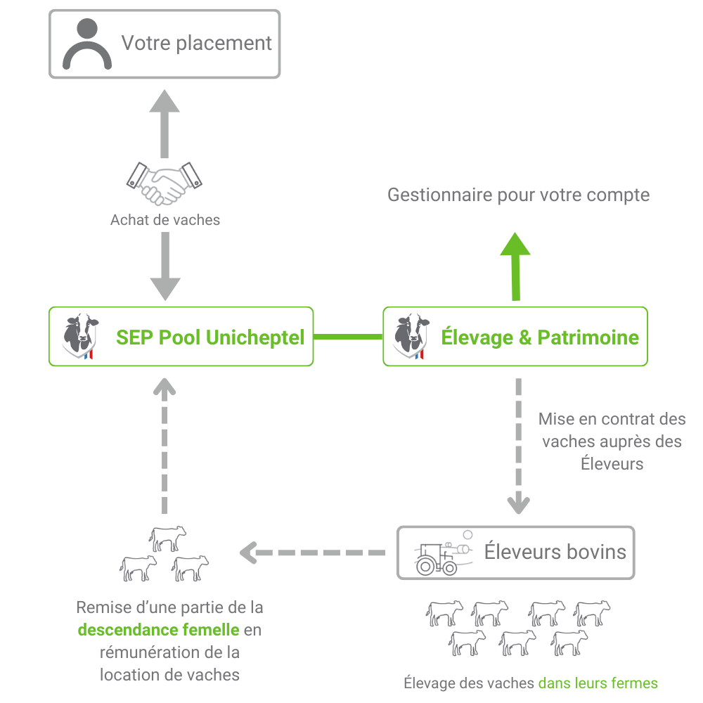 Élevage & Patrimoine (1000 × 1000 px)