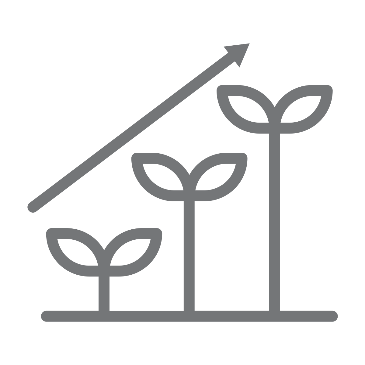 noun-growth-1351618-747678 Valoriser votre capital dans la durée
