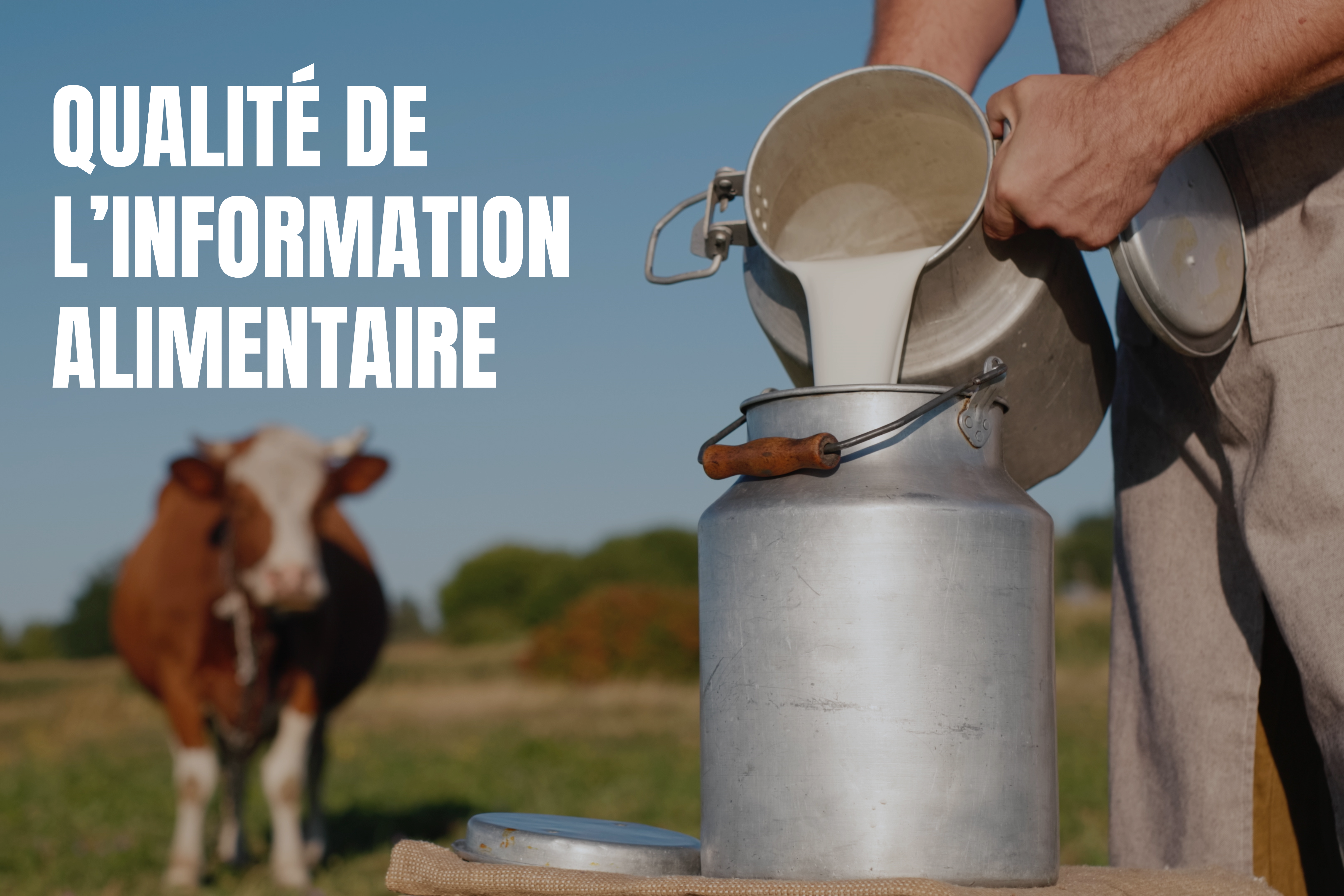 6 Qualité de l'information alimentaire
