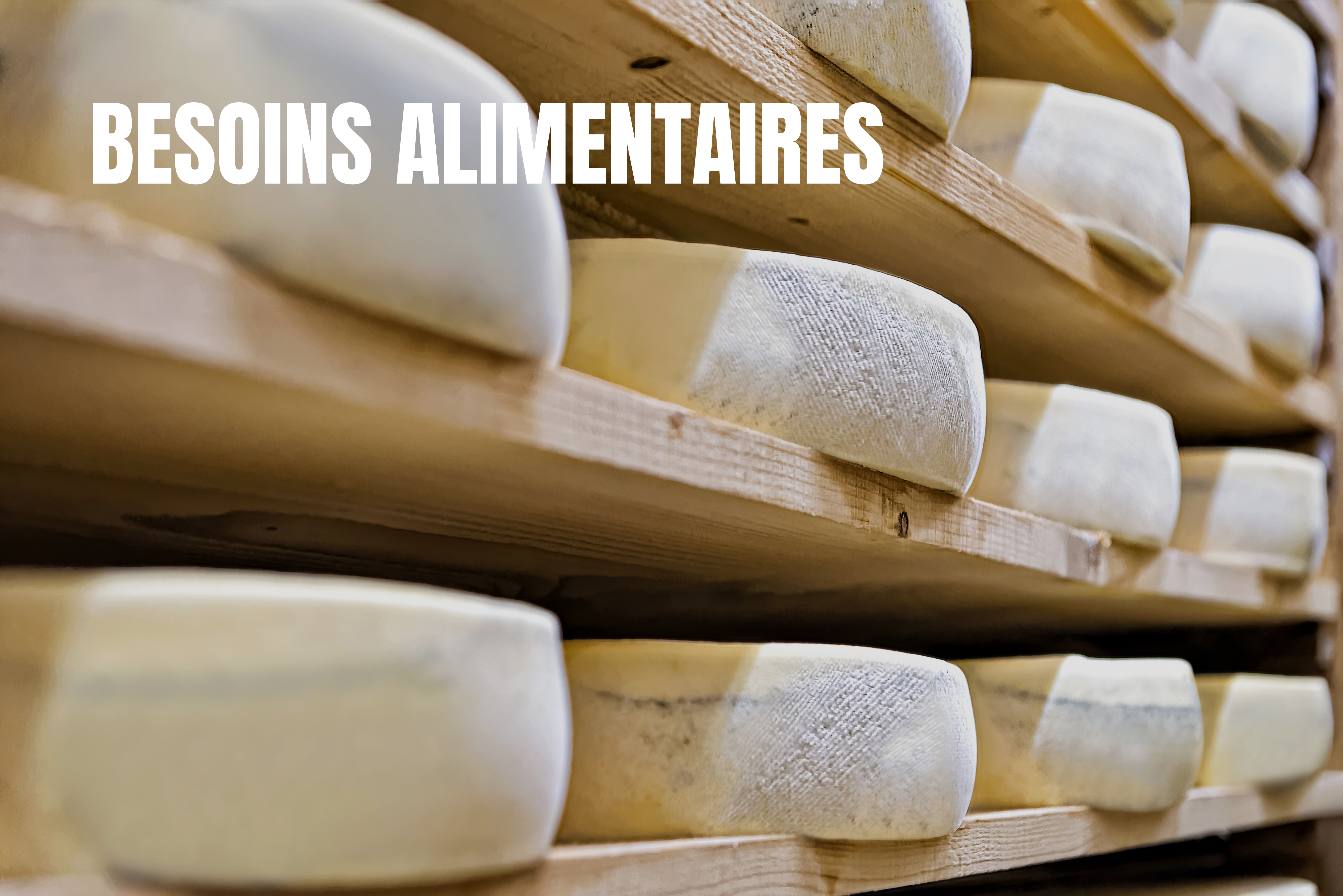 Besoins alimentaires